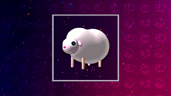 First Sheep!