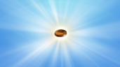 Coins collector