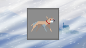 Do not pet