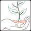 Sapling