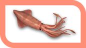 Course of Cthulhu