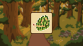 Forest Expert