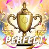Perfect Player