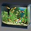 Became a friend with fish