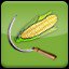 Harvest Corn (1)