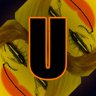 NEW_ACHIEVEMENT_NAME_86_26