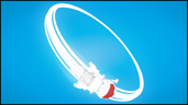 Orbit