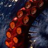 Horror From The Deep