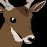 Follow The Deer
