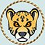 Beat the Cheetah