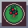 Apple Orchard