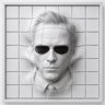 Agent S.