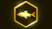 Goldfish?