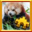 Red Panda Complete!