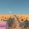 Sunflower field