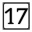 Level 17
