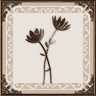 A Mysterious Flower