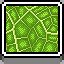 Plant Cell