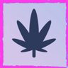 Drug Empire
