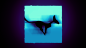Agile Kitty