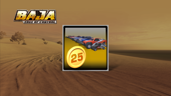 Owns 25 Vehicles