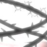 Punishment