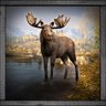 Moose Hunter