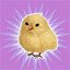 Cheep Cheep Chirp Cheep