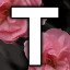 T - ＳＨＯＴＥＫＫ