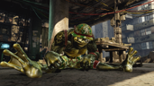 Battle-worn Rash