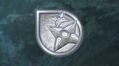 Shuriken Master
