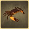 Crab
