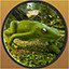 Tree Frog