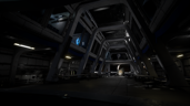 The Witness
