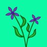 I2 Trophy: Violets