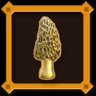 Golden Morel Birch Forest