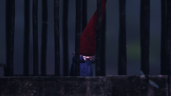 Bait