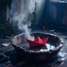 她的名字叫做红