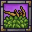 Bring Me A Shrubbery