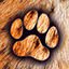 LynxPaw