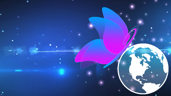 Social Butterfly