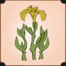 The first flower