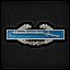 The Combat Infantryman Badge
