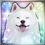 CRYSTAR
