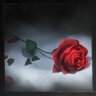 The Rose's Memory
