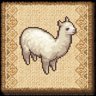 Young Alpaca
