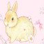 sweet bunnie ♡