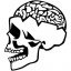 Up your brains