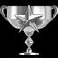 #1 Fan Award