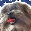 A Good Good Boy